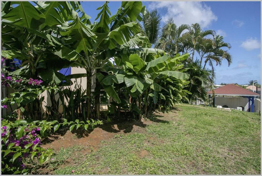 Villa Mango 150 Metres Plage A Pied 圣吕斯 外观 照片
