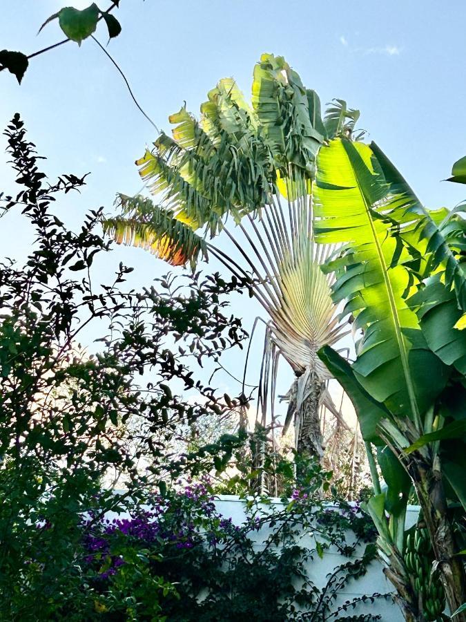Villa Mango 150 Metres Plage A Pied 圣吕斯 外观 照片